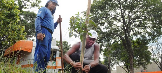 Verde passa a divulgar ações e produtividade em relatórios semestrais