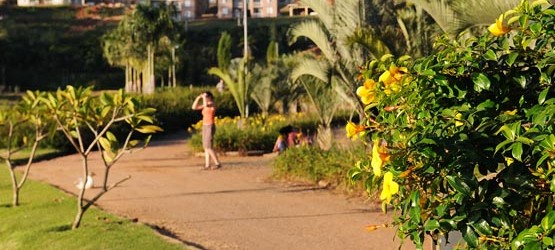 Processos de licenciamento ambiental estão 100% na plataforma digital