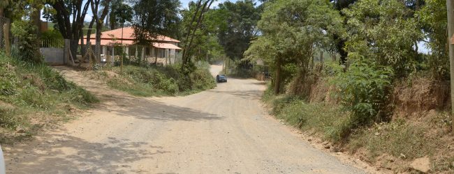 Rossini pede vacinação da febre amarela na região do Gargantilha