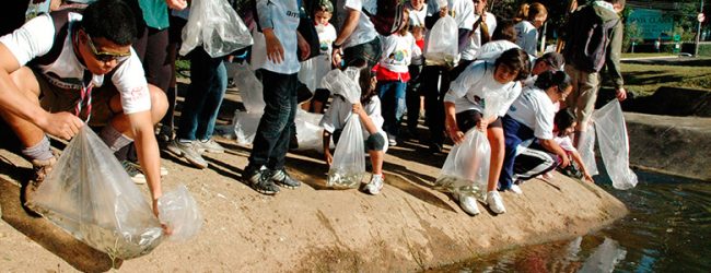 Câmara de Campinas sedia programa de uso racional de recursos naturais