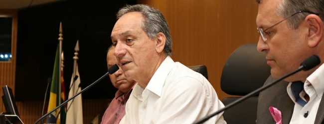 Rossini entrega relatório das atividades de 2018 da Comissão de Meio Ambiente