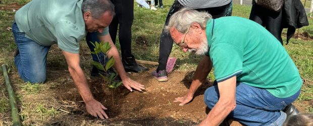 Câmara desenvolve ações práticas que valorizam o meio ambiente e a sustentabilidade