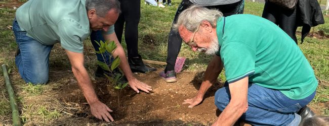 Câmara desenvolve ações práticas que valorizam o meio ambiente e a sustentabilidade